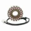 Rick's Motorsport Electrics, Inc. Stator -Motorcycle Parts Shop 160 0657 A V1