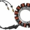 Standard Motorcycle Products Stator -Motorcycle Parts Shop 223 307 A V1