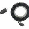 ACCEL 'Lectric' Stator -Motorcycle Parts Shop 381 289 A V1